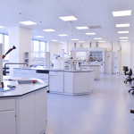 Science, Technology, Engineering and Mathematics