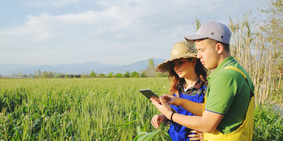 Agricultural Managersat work