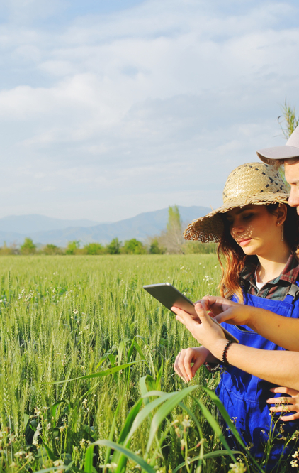 Agricultural Managersat work