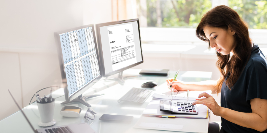 Accountants and Auditorsat work