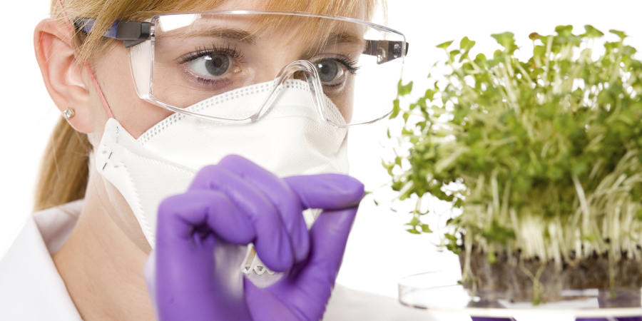 Soil and Plant Scientistsat work