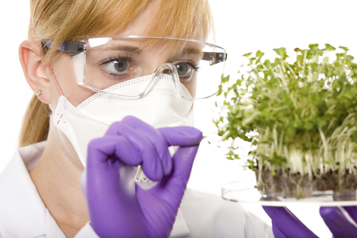 Agriculture Plant Science | Saddleback College