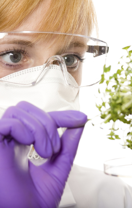 Soil and Plant Scientistsat work