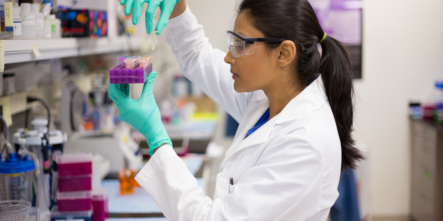 Bioinformatics Scientistsat work