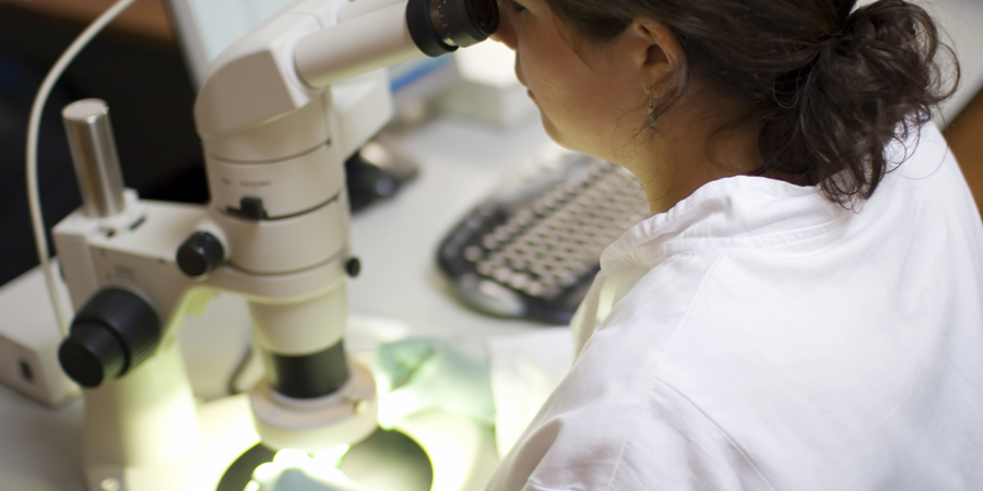 Forensic Science Techniciansat work