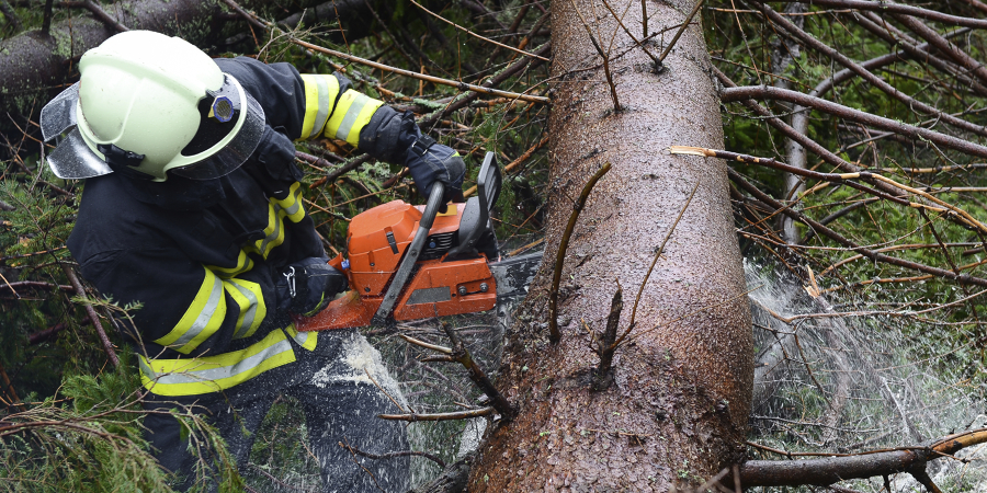 Forest Fire Inspectors and Prevention Specialistsat work