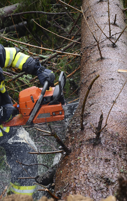 Forest Fire Inspectors and Prevention Specialistsat work