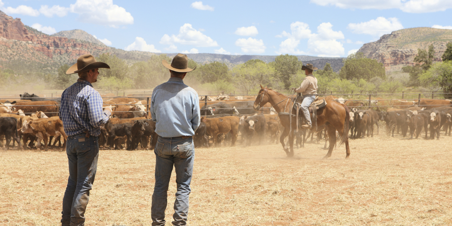 Farm, Ranch, and Aquaculture Animal Farmworkersat work