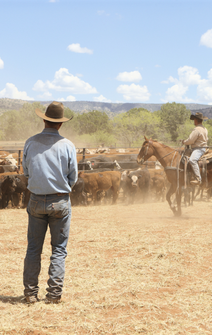 Farm, Ranch, and Aquaculture Animal Farmworkersat work