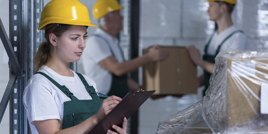 Aviation Inspectorsat work